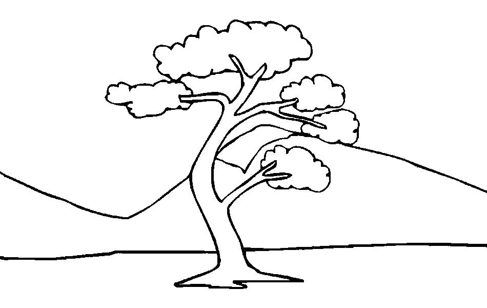Раскраска дерева на природе для детей (растения, деревья)