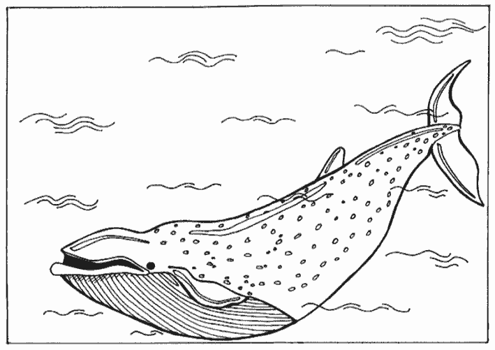 Раскраска подводный мир синий кит (подводный, мир, синий, кит, праздники)