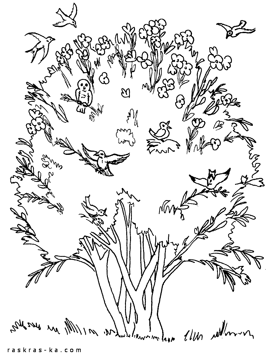 Раскраска с изображением дерева (антистресс)