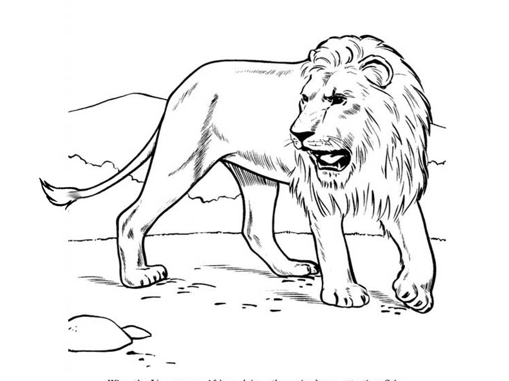 Раскрашенная картинка с львом на фоне природы (дикие, окружающий)