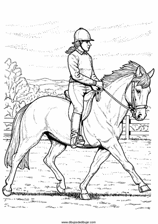Раскраска Лошади для девочек (лошади)