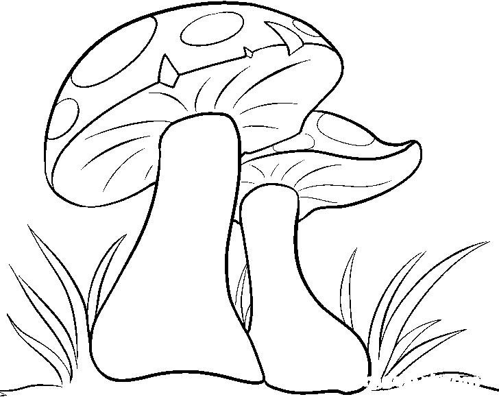 Раскраска шаблон гриба для детей (шаблон, гриба)