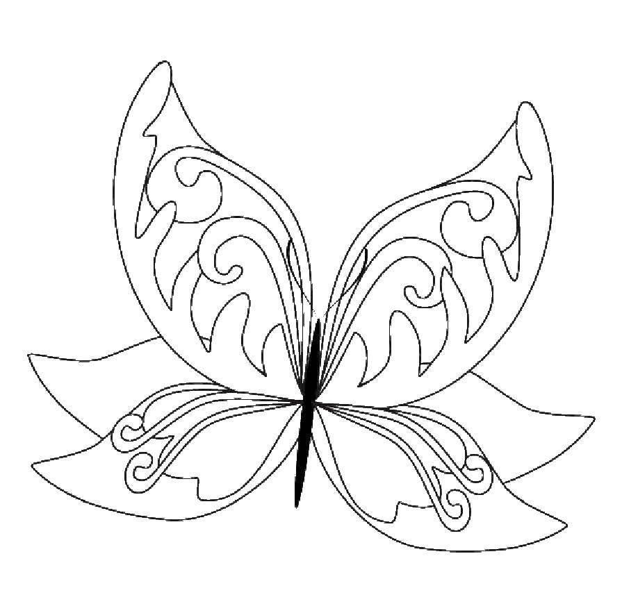 Раскраска на тему насекомых - бабочка (бабочка)