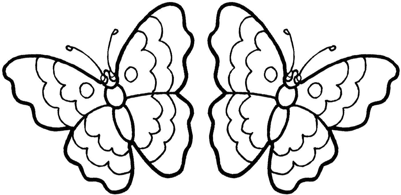 Раскрашенная бабочка на белом фоне (бабочки)