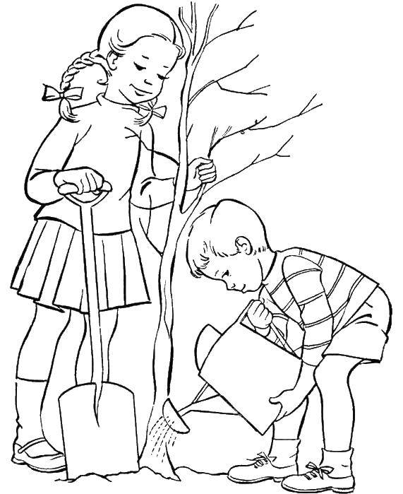 Раскраска с изображением дерева для детей (дети, дерево)