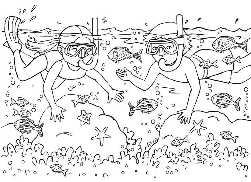 Раскраска подводного мира с рыбами и дайвингом (дети, развлечения)