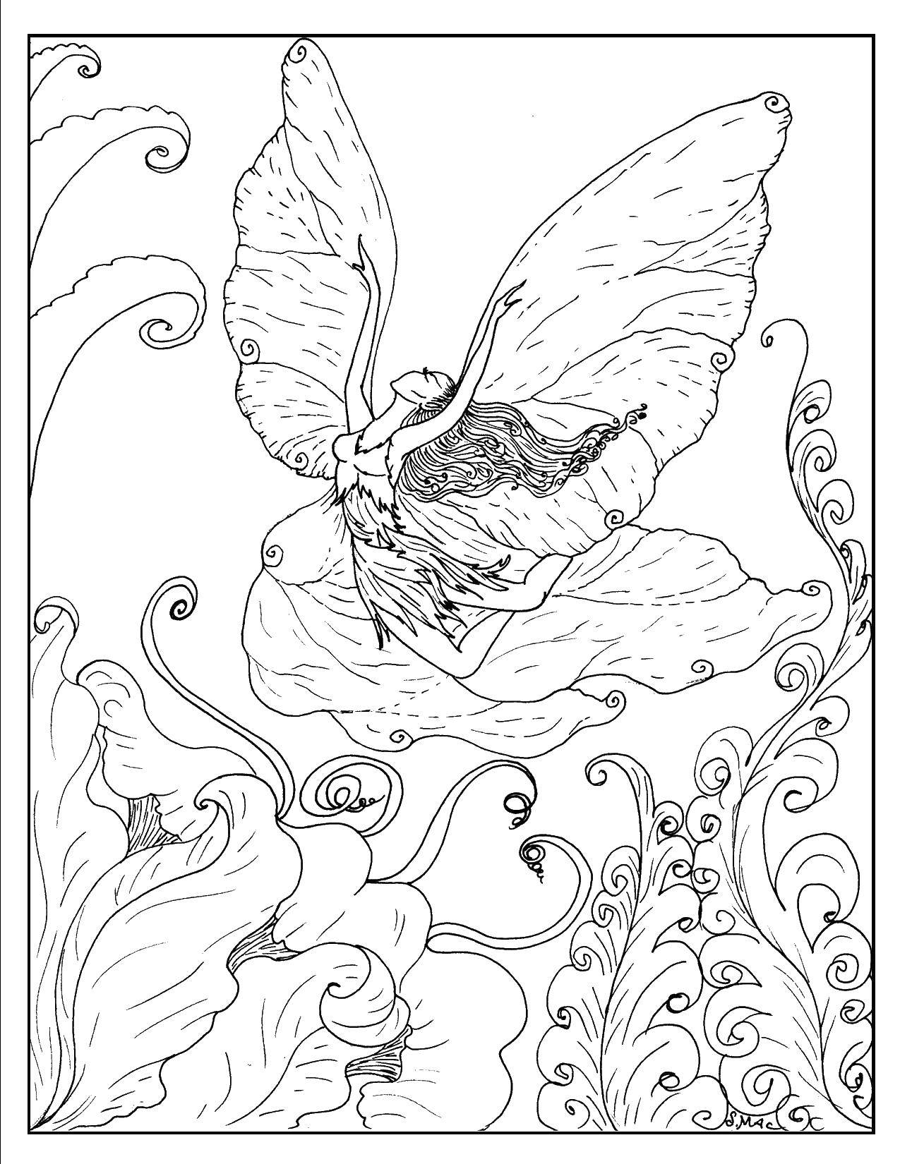 Раскраска с изображением феи и ее крыльев (крылья, развлечение)