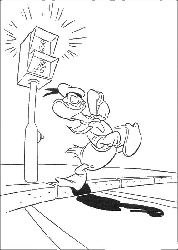 Раскраска светофор с Дональдом Даком и Микки Маусом (светофор)