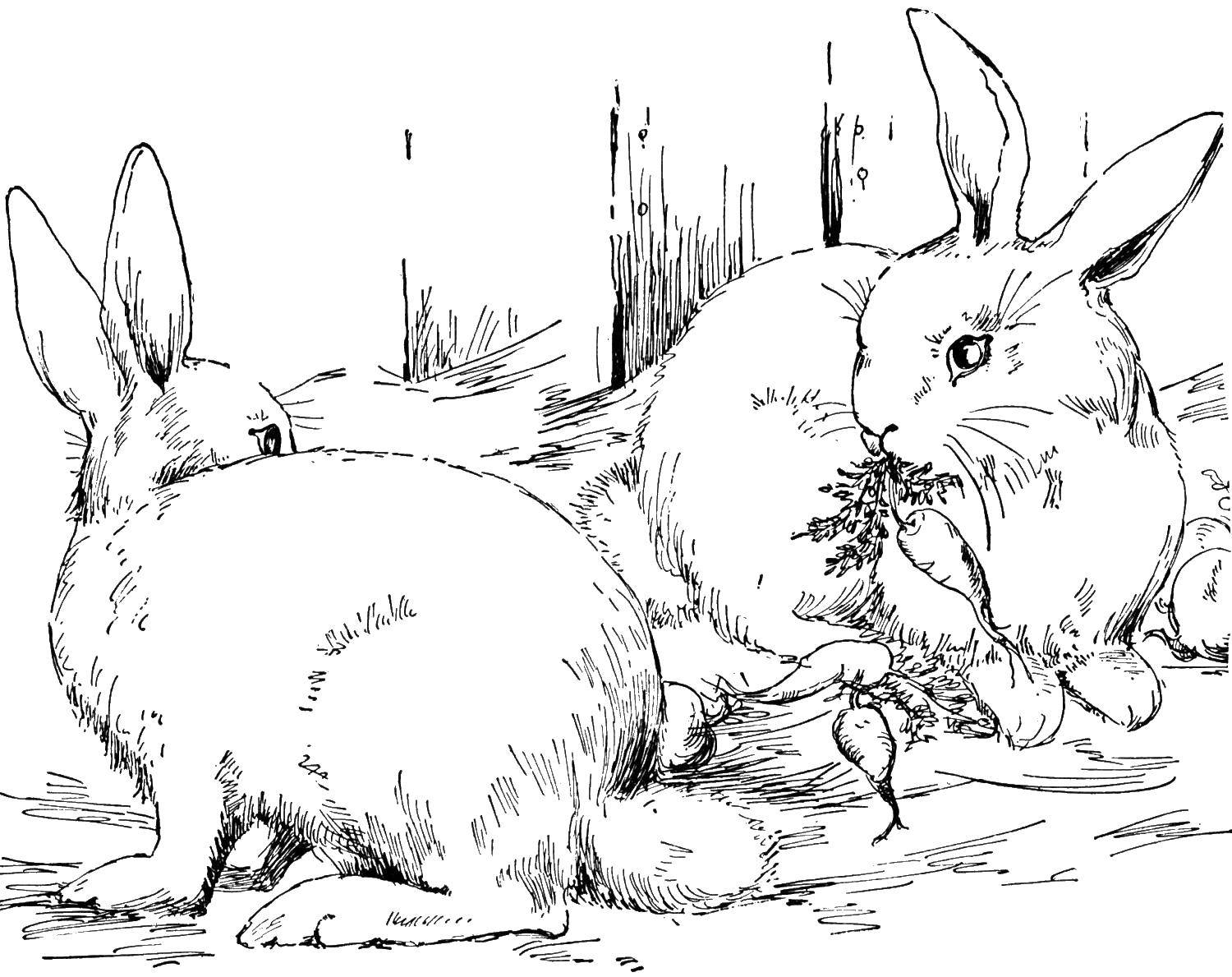 Раскрашенный рисунок кролика с морковкой (кролик, морковка)