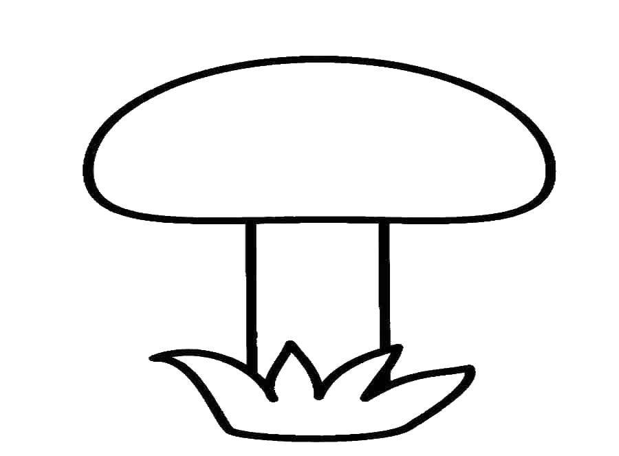 Раскраска Грибы для детей (грибы)