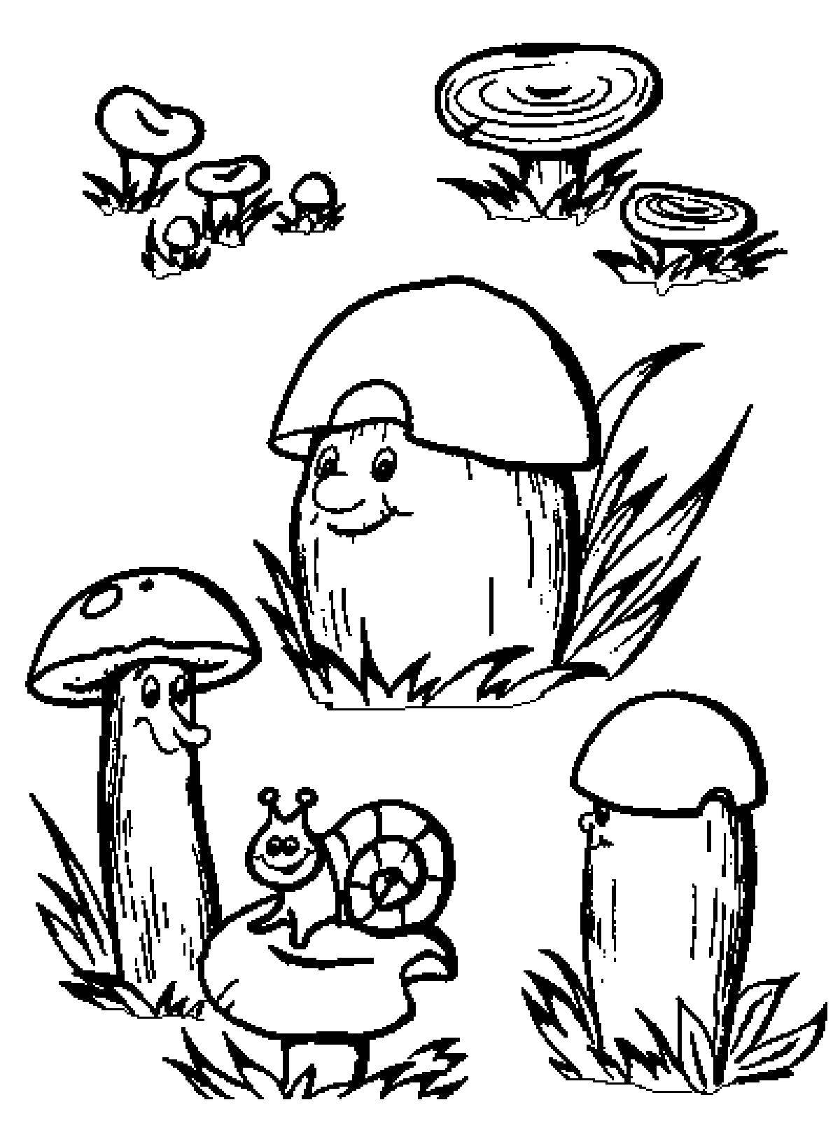 Раскраска с грибами грибы для развития детей (грибы)