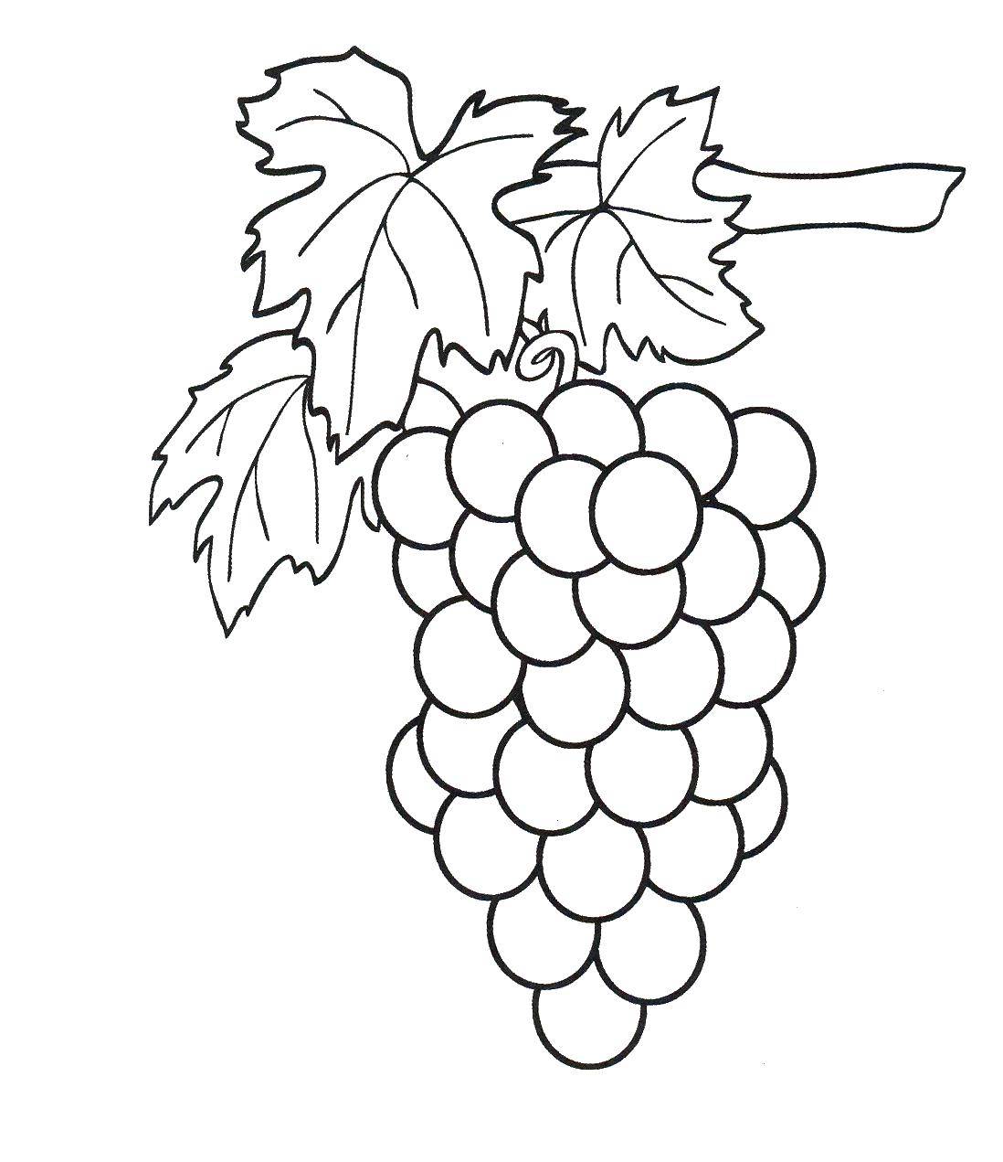 Раскраска с ягодами виноград - развлекательное занятие для детей (ягоды, виноград, занятие, праздники)