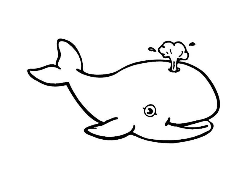Раскраска кита с фонтачиком для мальчиков (кит)