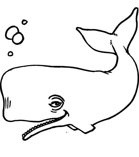 Раскраска с изображением кита для мальчиков (кит)
