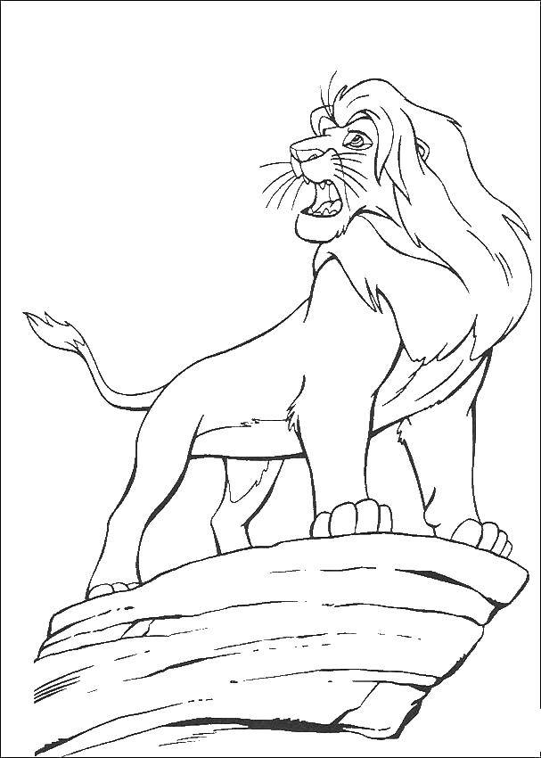 Раскраска Король Лев - Симба (Симба)