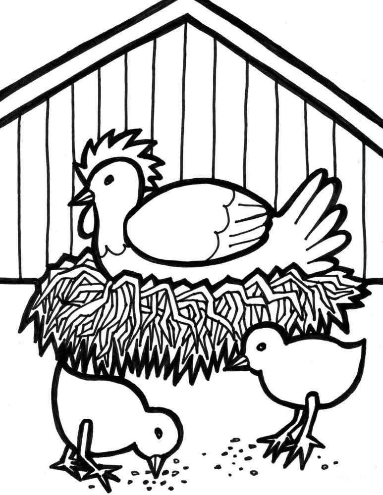 Раскраска домашней курицы с гнездом и цыплятами (курица, цыплята)