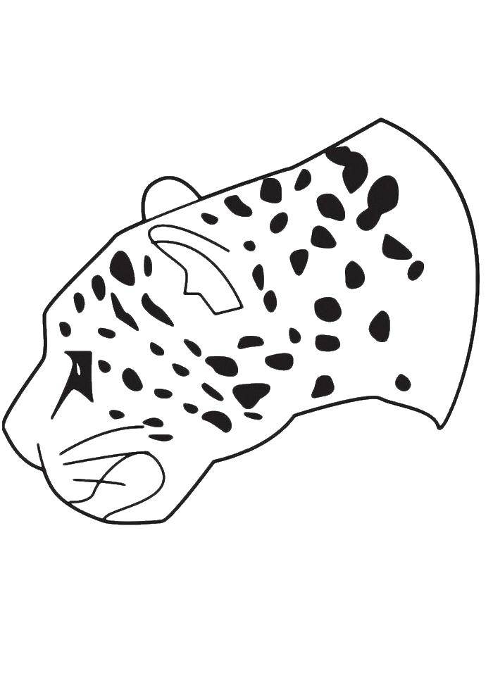 Раскраска с изображением леопарда для детей (леопард, мультфильмы)
