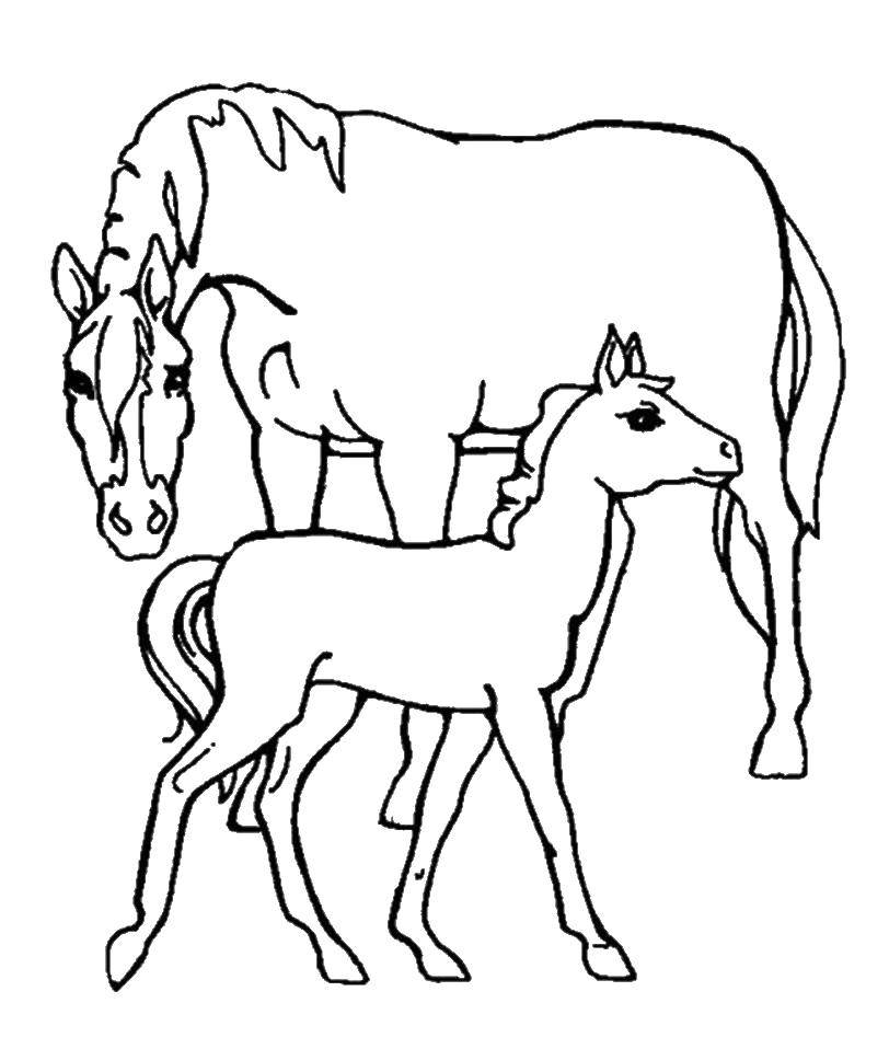 Раскрашенная картинка лошадки и жеребенка (лошадка, жеребенок)
