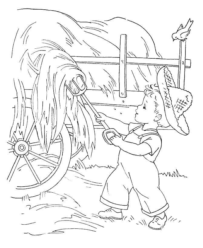 Раскраска с мальчиком, сеном и животными (сено)