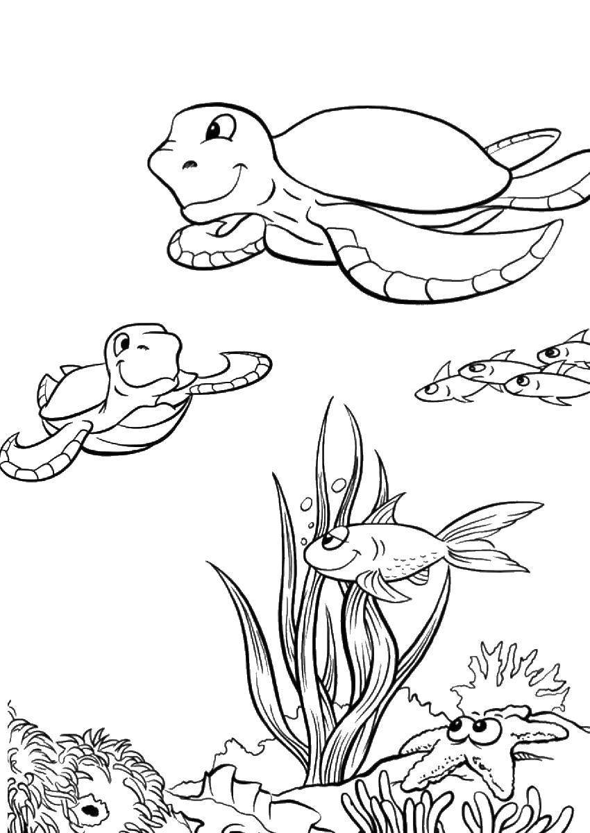 Морская черепаха, красочная раскраска для детей (морская, черепаха)