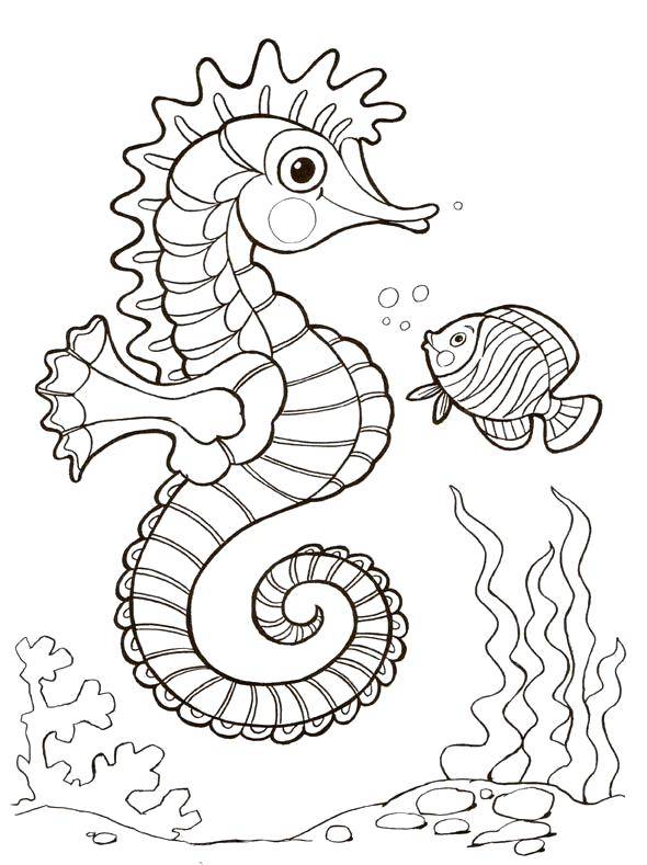 Раскраски с изображением морского конька и рыбы (рыба, узоры, рисунки)