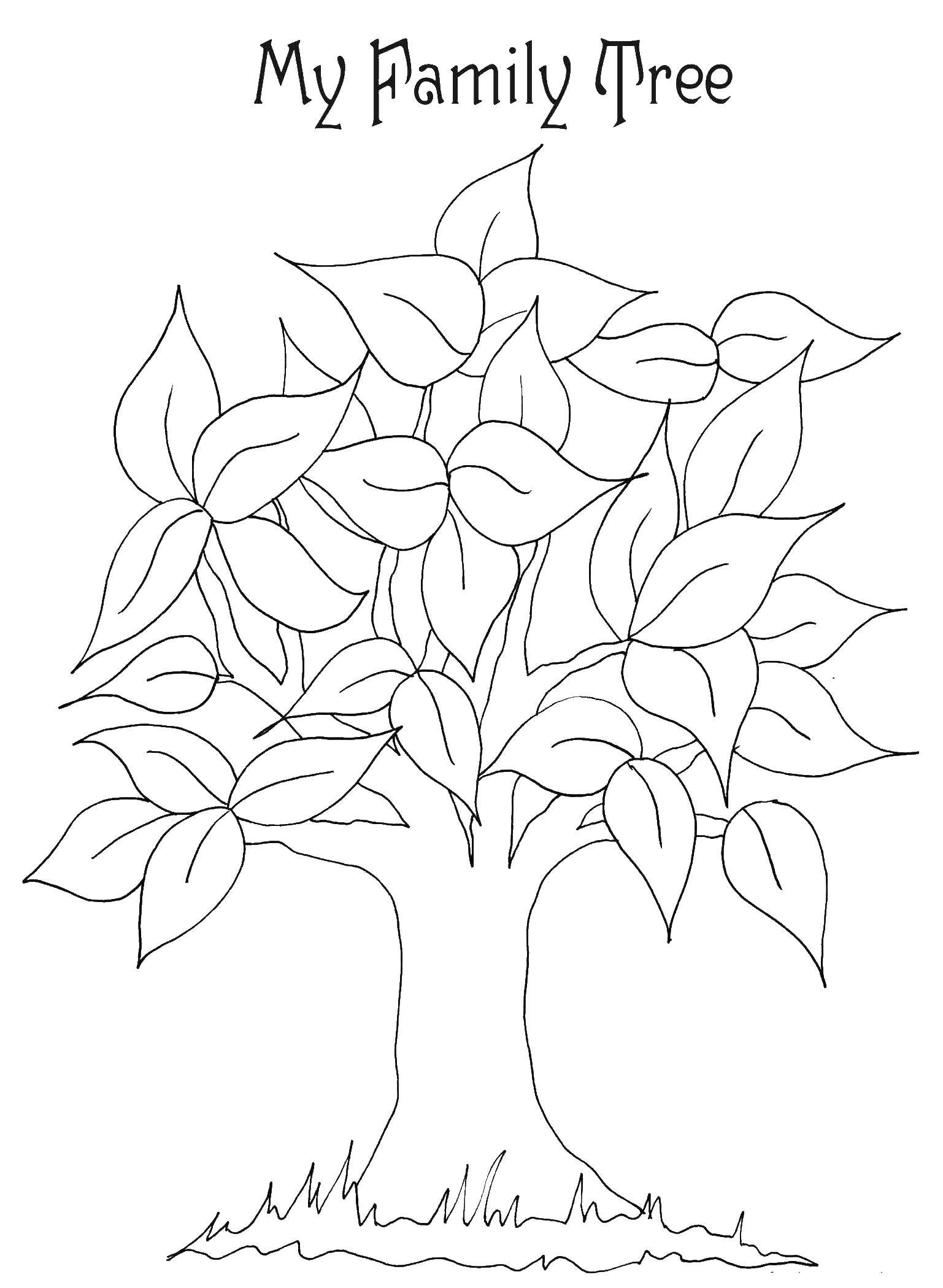Раскраска с семейным деревом (семейное, дерево, дети, занятие)