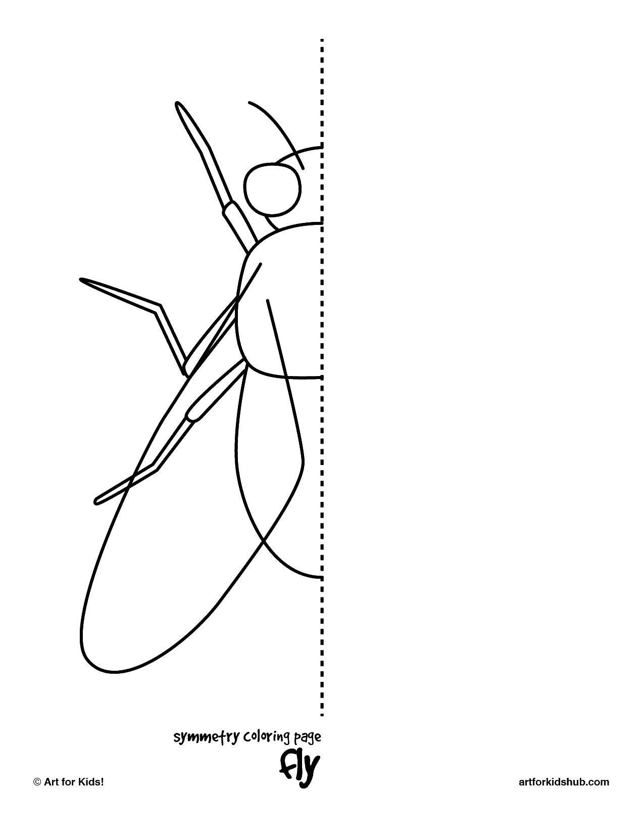 Калейдоскоп муха, раскраска - изображение (муха, занятие)