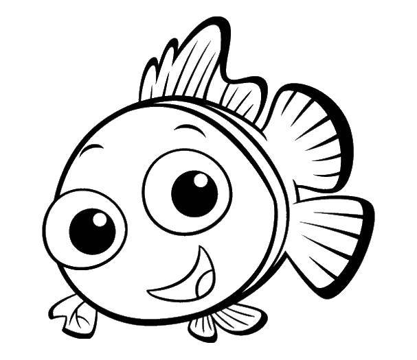 Раскрашенная картинка Немо рыба клоун (Немо, рыба, клоун, цвета)