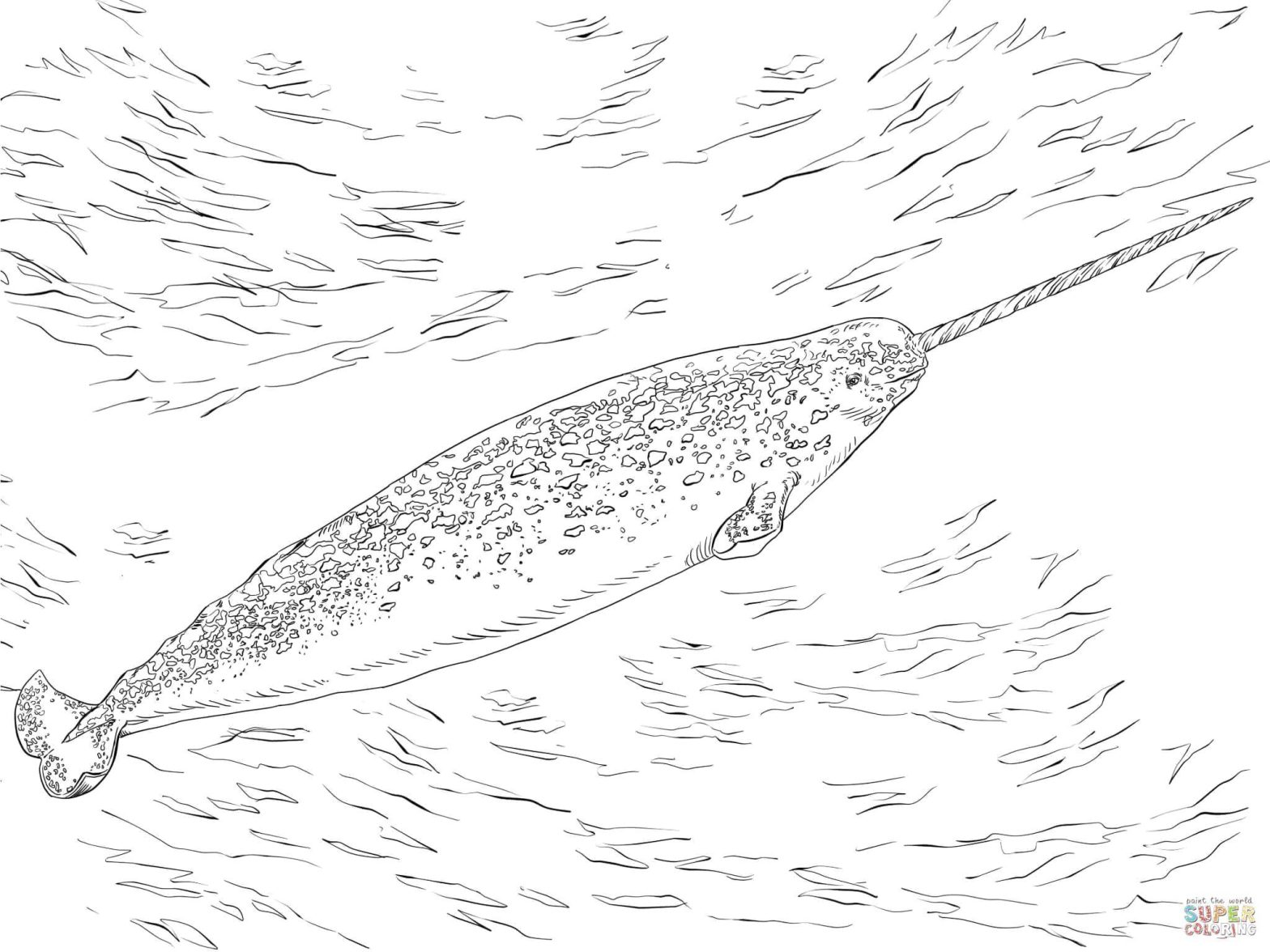 Раскраска морского подводного мира - рыба и норвал (морское, мир, норвал)