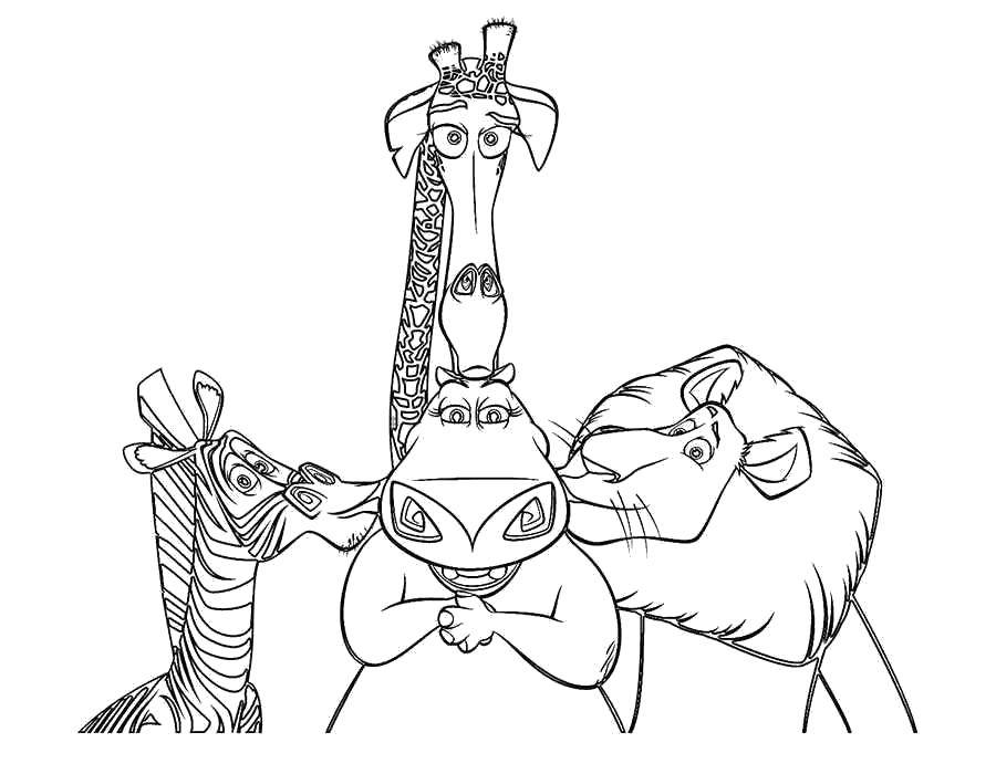 Раскраска с персонажем из мультфильма Мадагаскар (Мадагаскар, персонаж)