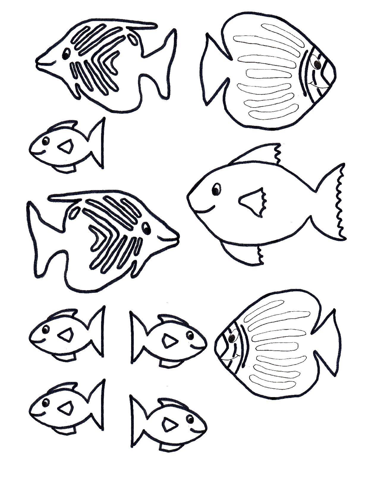 Раскраска рыбы и рыбки (рыбы, рыбки, море, задания, познавательные, развлекательные)