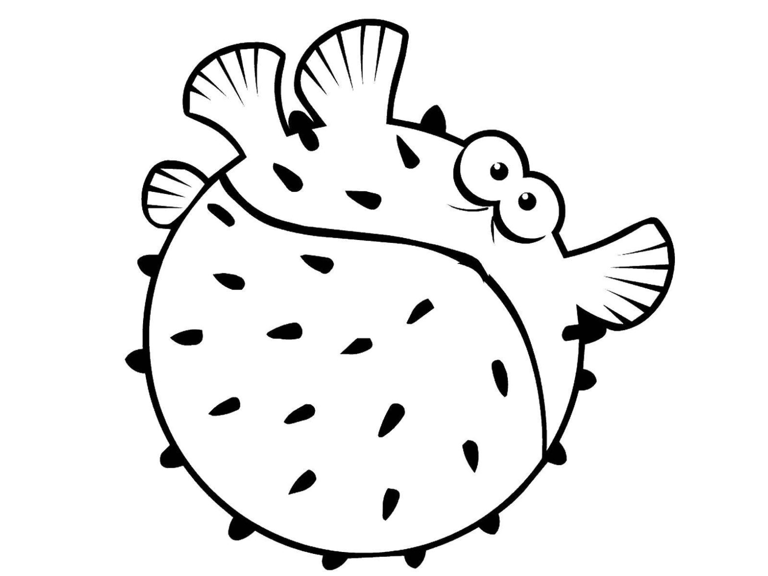 Рыба-еж на картинке (рыба-еж, малыши)