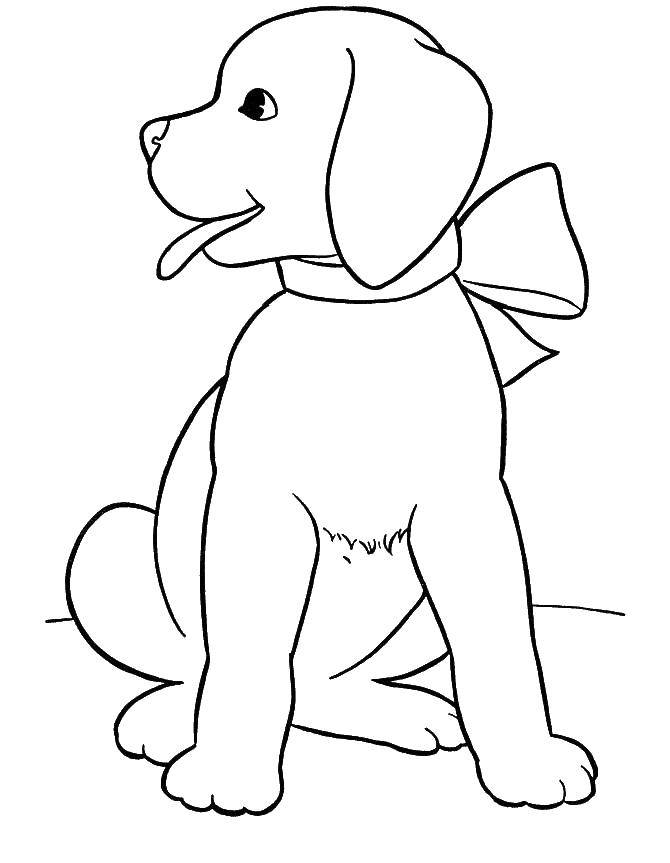 Раскраска с собакой щенком, бантиком и языком (собаки, щенок, язык)