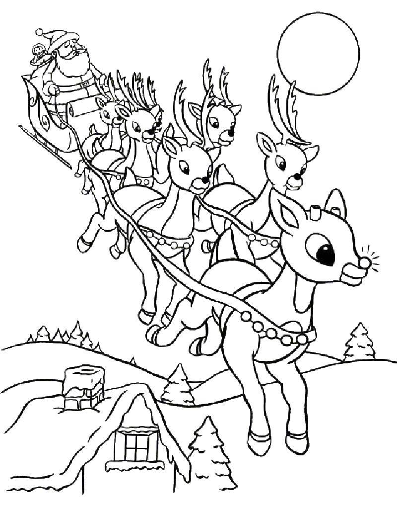 Раскраска Санта Клаус на санках с оленями (Санта, Клаус)