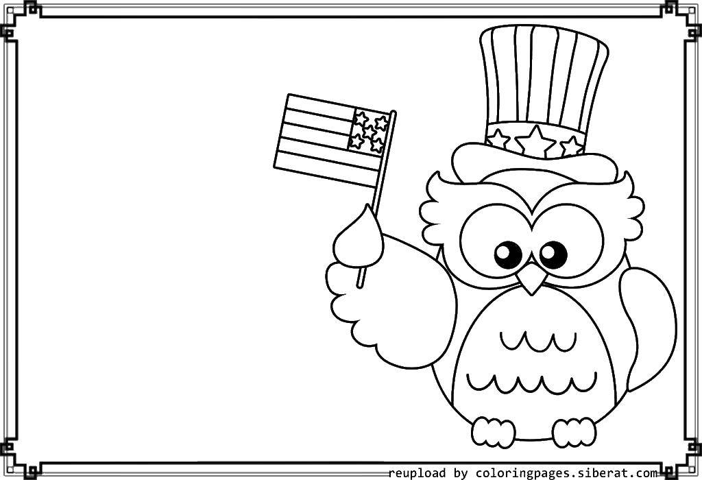 Раскраска с изображением США, Америка, совы для детей (США, сова)