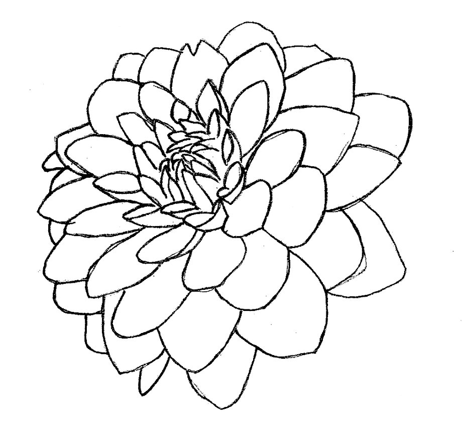 Раскраска цветок георгина для детей (цветок, георгина, развивающее)