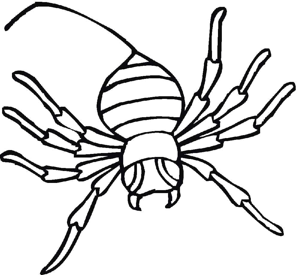 Раскраска на тему Насекомые Паук (насекомые, паук, весело)
