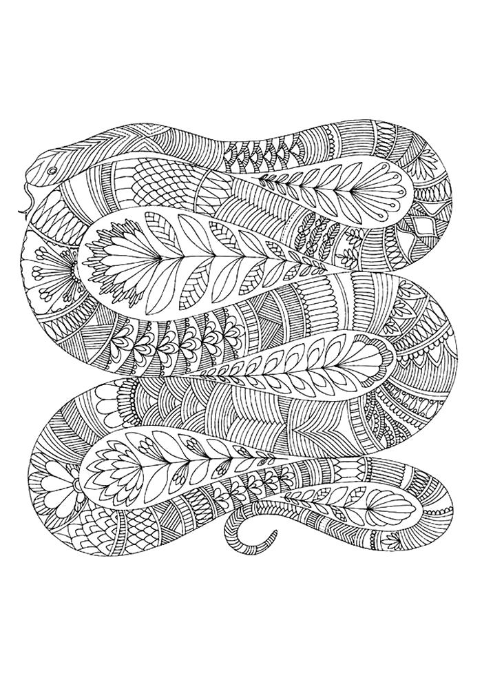 Раскраска дикой змеи (дикие, животные, Змея)