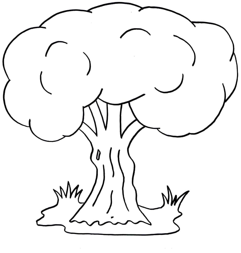 Раскрашенное изображение растения дерево (растения, дерево)