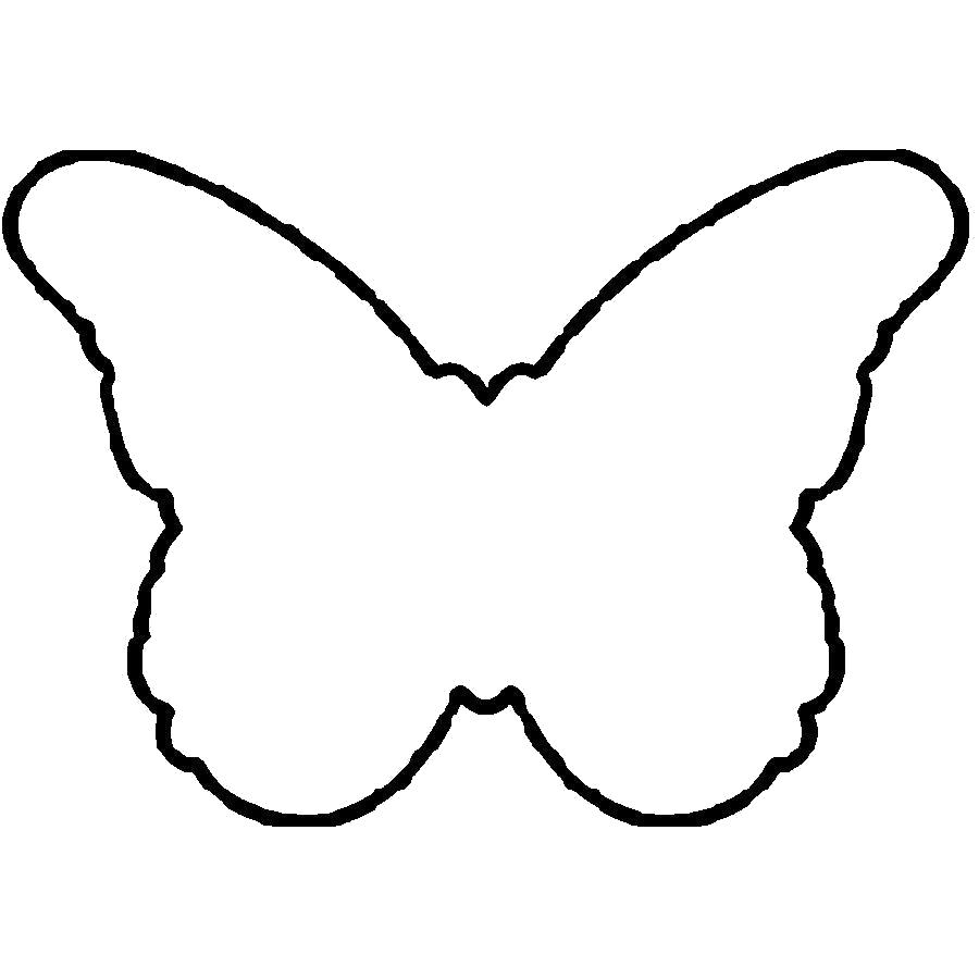 Раскрашенная бабочка на белом фоне